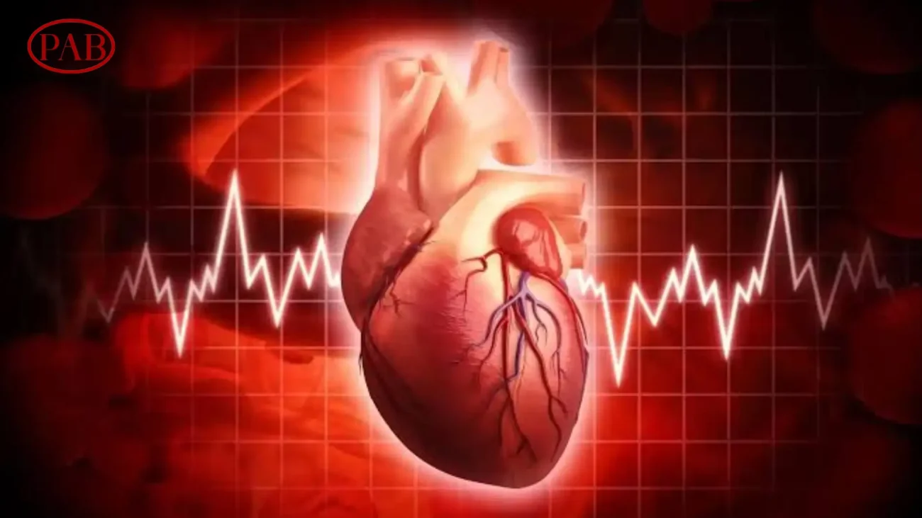تفاوت ECG و EKG چیست؟ هر آنچه باید درباره نوار قلب بدانید